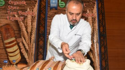 Buğdayın atası artık Bursa’da üretiliyor