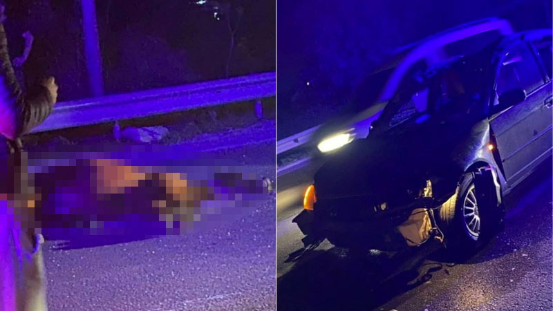 Bursa’da başıboş at kazaya neden oldu