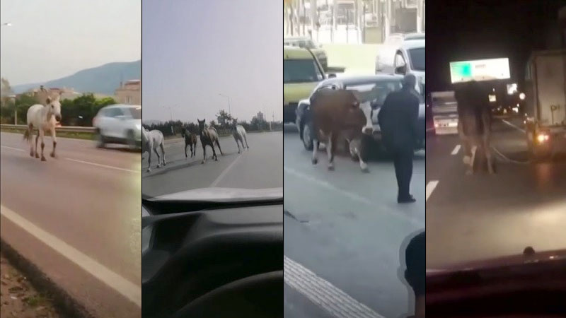 Bursa trafiğinde zor anlar! Saniye saniye böyle yansıdı Bursa trafiğinde zor anlar! Saniye saniye böyle yansıdı