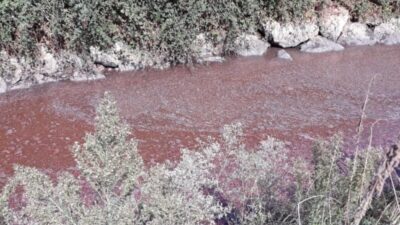 Bursa Kocasu deresinde çevre felâketi