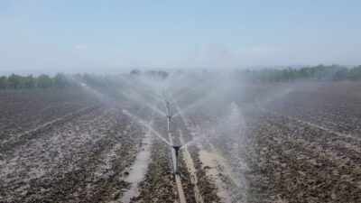 Bursa’da bu yıl içinde 622 bin dekar tarım arazisi sulandı
