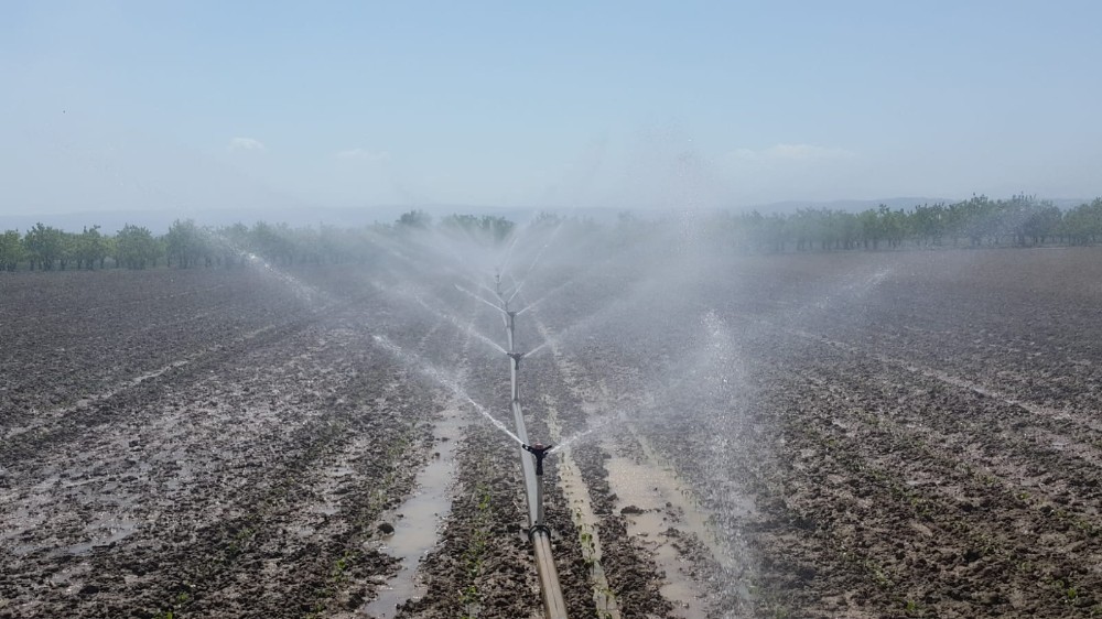 Bursa’da bu yıl içinde 622 bin dekar tarım arazisi sulandı
