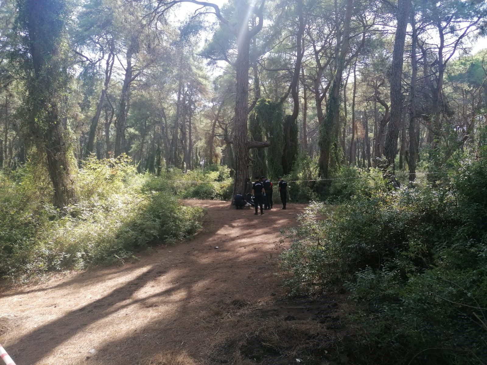 Çamlıkta dehşet! Cesetle karşılaştılar