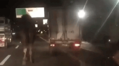 Bursa’da trafikte koşturulan deve korumaya alındı