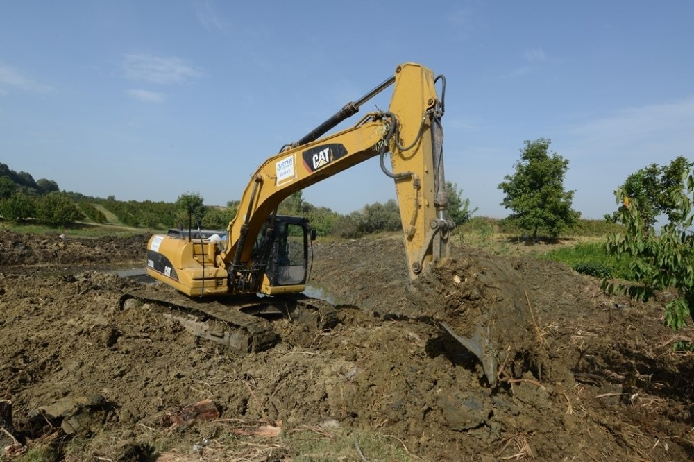 Dipsizgöl yeniden hayat buluyor Dipsizgöl yeniden hayat buluyor