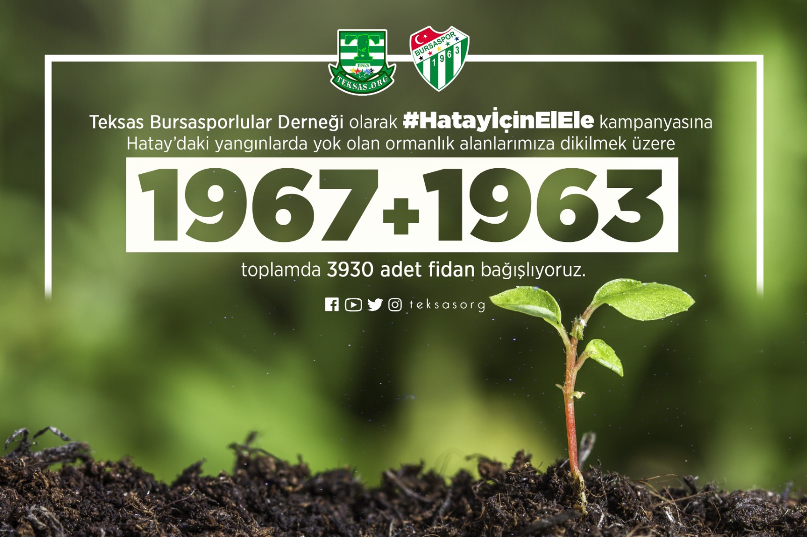 Teksas’tan Hatay için 3.930 adet fidan bağışı