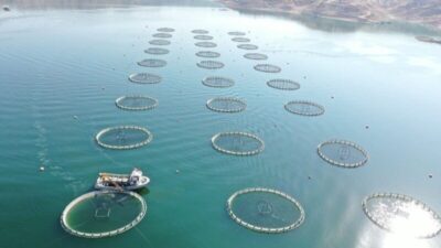 Denizi olmayan Kayseri’den Japonya ve Rusya’ya somon ihracatı