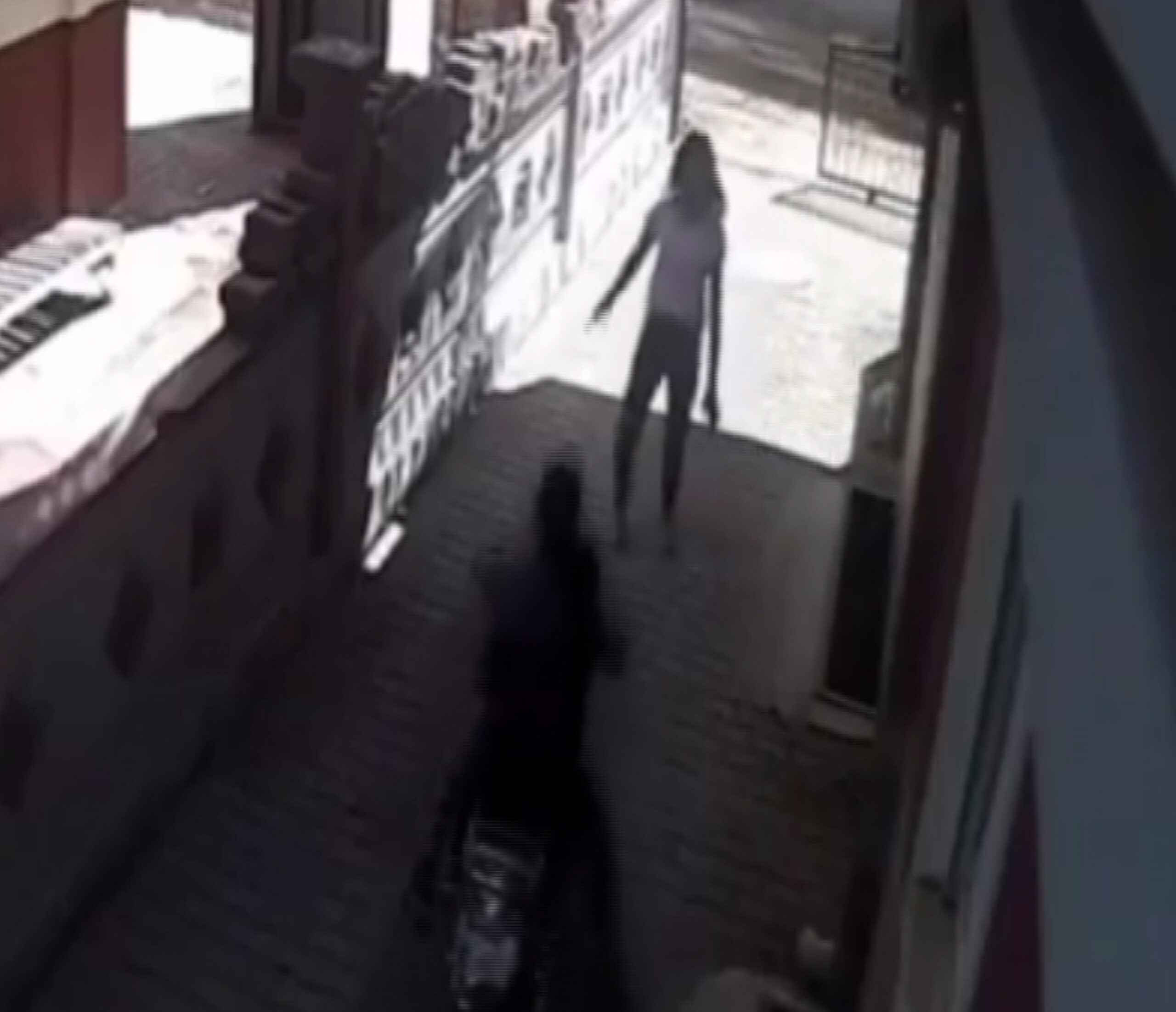 Neye uğradıklarını şaşırdılar! Genç kız bir anda önlerine atladı