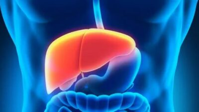 İşte karaciğerin verdiği işaretler!