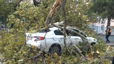 Bursa’da lodos hayatı olumsuz etkiledi