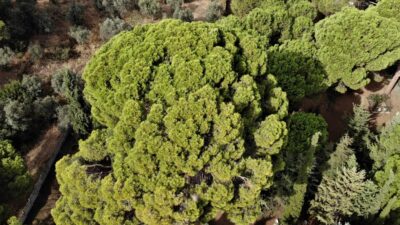 İngilizler top atışıyla yıkamadı! 700 yıldır ayakta