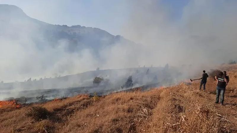 Kayseri’de orman yangını! Belediye Başkanı’ndan açıklama Kayseri’de orman yangını! Belediye Başkanı’ndan açıklama