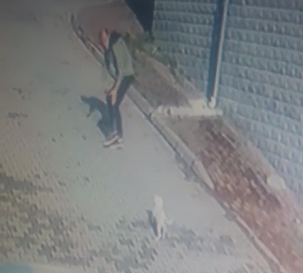 Bursa’da köpeği önce sevdi, sonra kaçırdı, o ânlar güvenlik kameralarına yansıdı Bursa’da köpeği önce sevdi, sonra kaçırdı, o ânlar güvenlik kameralarına yansıdı