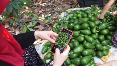 5 yılda kendi işinin patronu oldu…