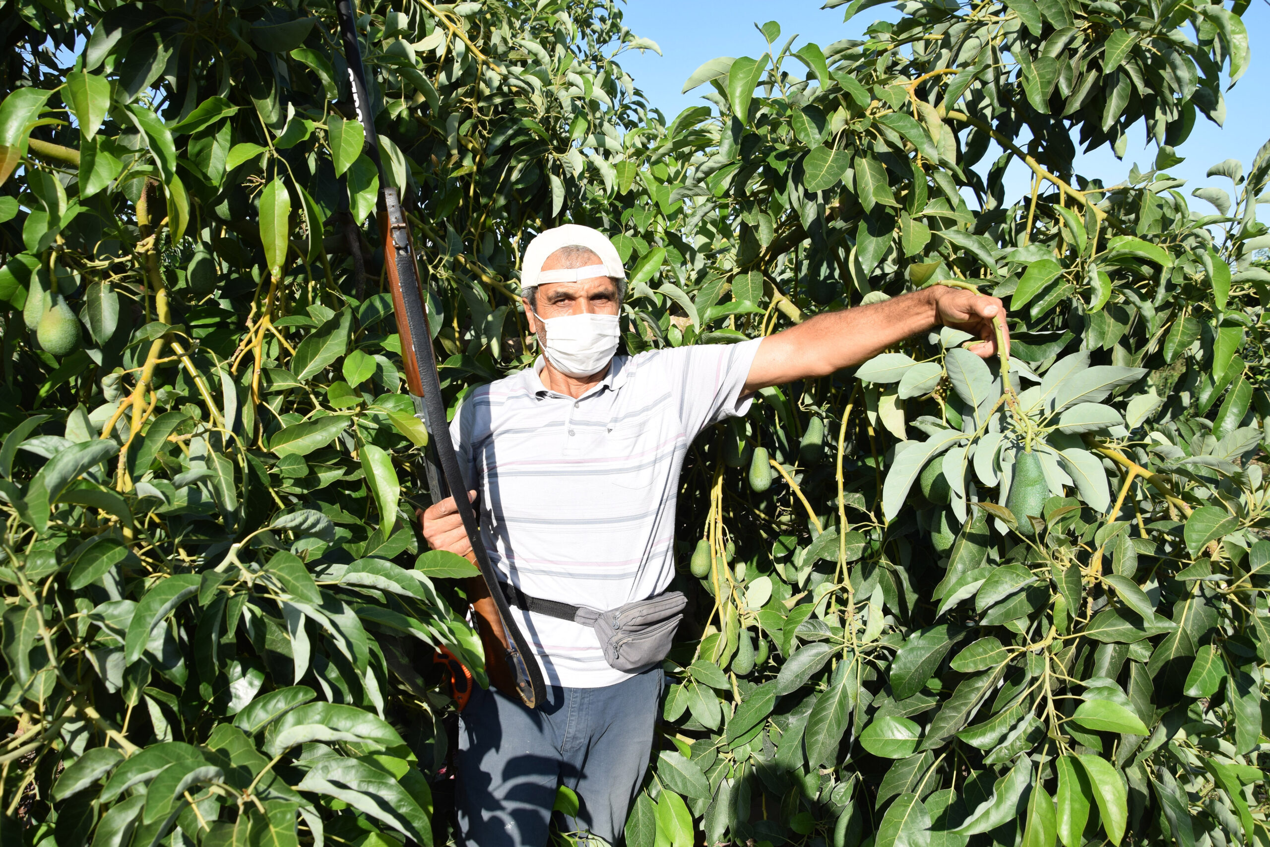 Pazarda taneyle satılıyor! Ellerinde tüfekle bekliyorlar