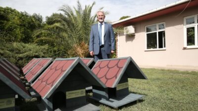 Sahipsiz kedilere sıcak yuva