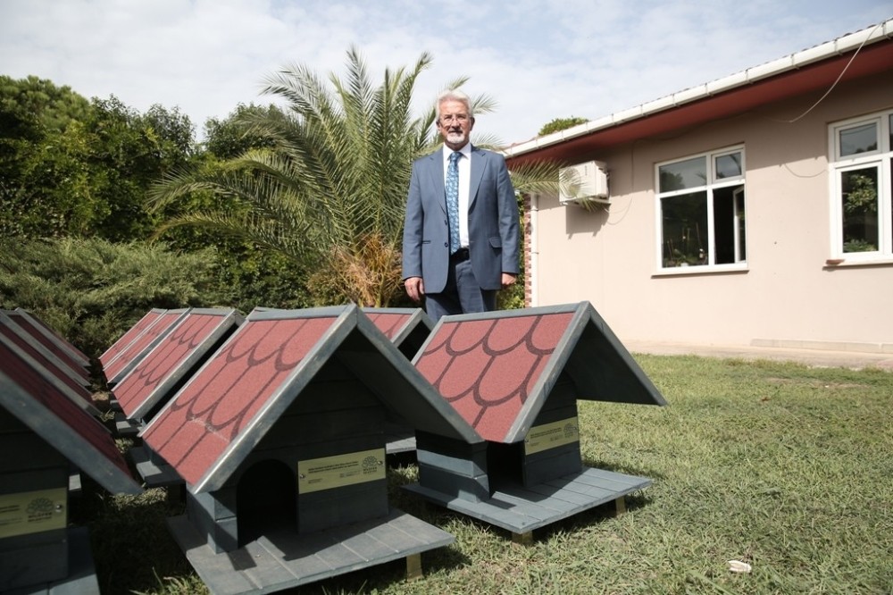 Sahipsiz kedilere sıcak yuva Sahipsiz kedilere sıcak yuva