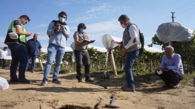Tedirgin eden görüntü! İnceleme başlatıldı