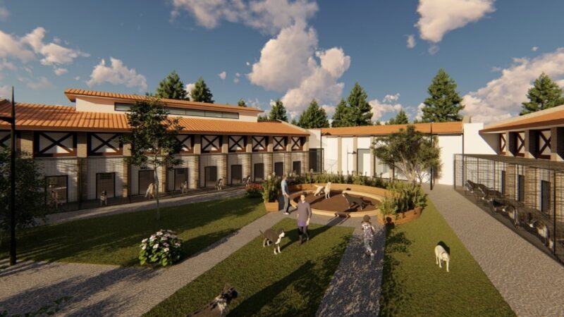 Gemlik Belediye Meclisinin ekim ayı toplantısında, ilçeye modern hayvan barınağı
