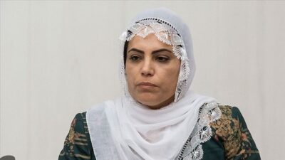 HDP’li milletvekilinden Diyarbakır annelerine hakaret