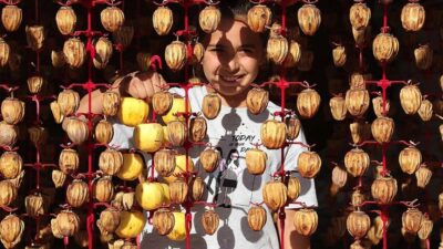 Cennet hurması kurusuyla dış pazarda boy gösterecekler