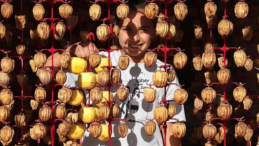 Cennet hurması kurusuyla dış pazarda boy gösterecekler