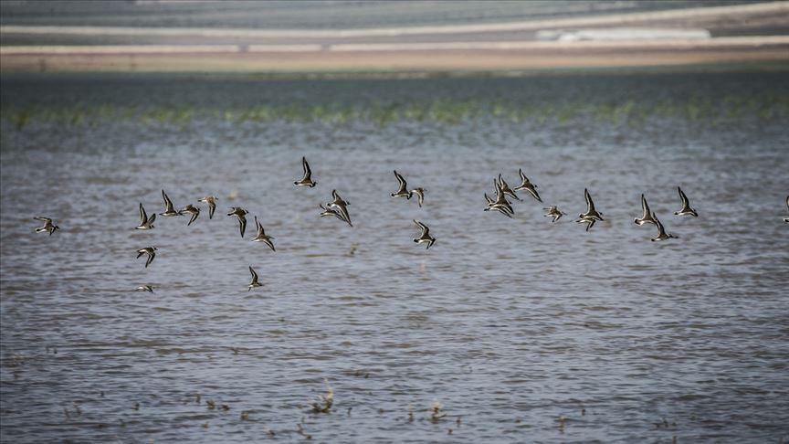 Cumhurbaşkanı Erdoğan’dan Reyhanlı Barajı paylaşımı