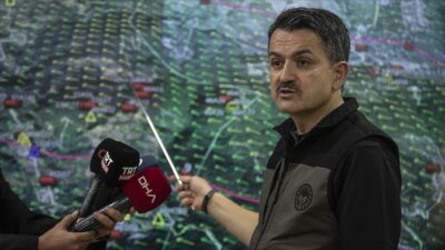 Bakan Pakdemirli’den yanan alanlarla ilgili açıklama