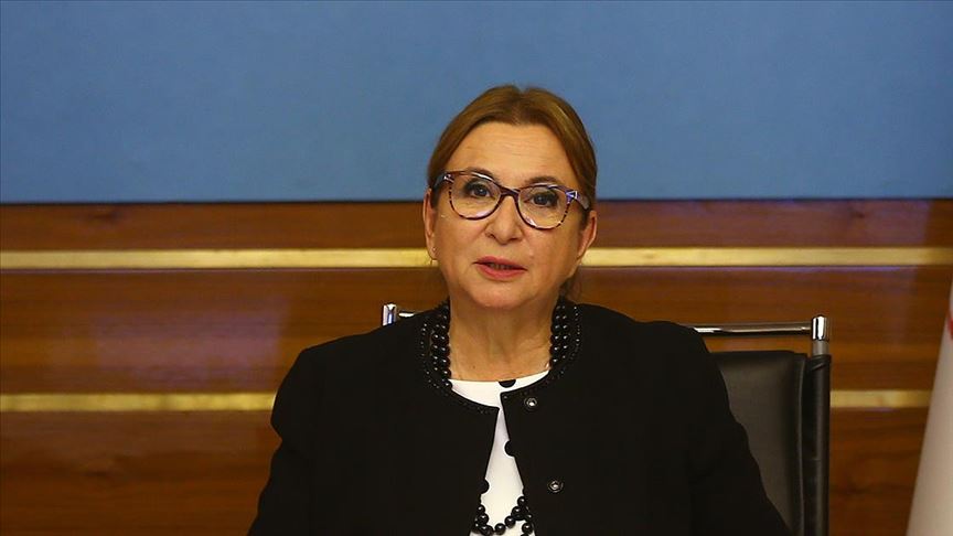 Ticaret Bakanı Pekcan OECD toplantısında konuştu