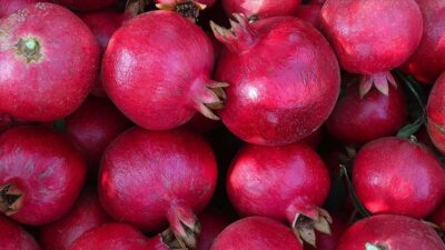 İhracatta nar bereketi