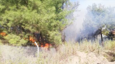Hatay’da orman yangını