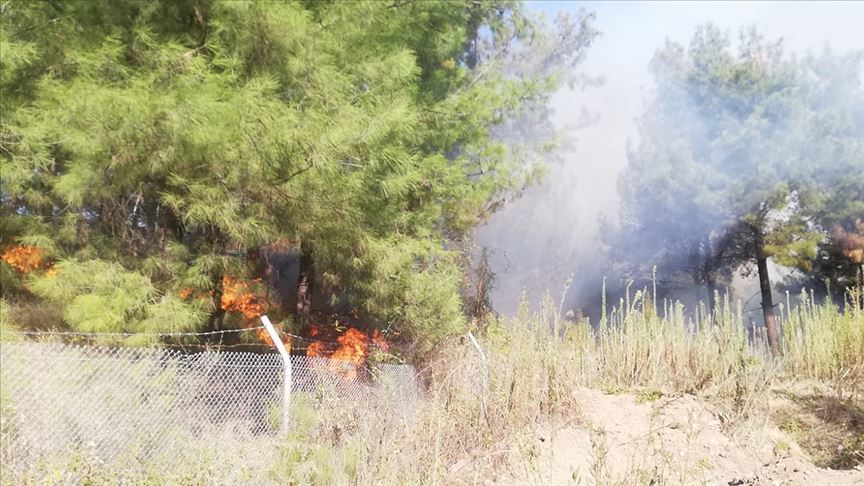 Hatay’da orman yangını
