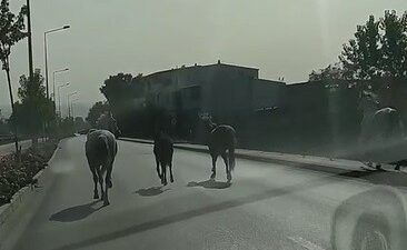 Veliefendi değil Bursa caddeleri