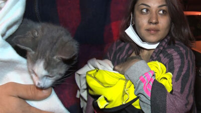 Kardeşlerin hayatını kedi kurtardı