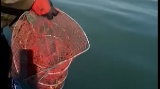 Eğirdir Gölü’nde 400 kerevit pinterine el konuldu