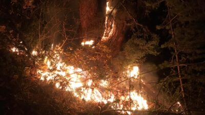 Kastamonu’da orman yangını