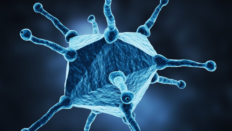 Korkutan uyarı! Koronavirüs kadar hızlı yayılabiliyor