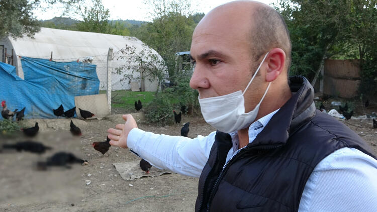 Bursa’da köpekleri komşusu tarafından öldürülen çiftlik sahibi: Bu işin peşini bırakmayacağım