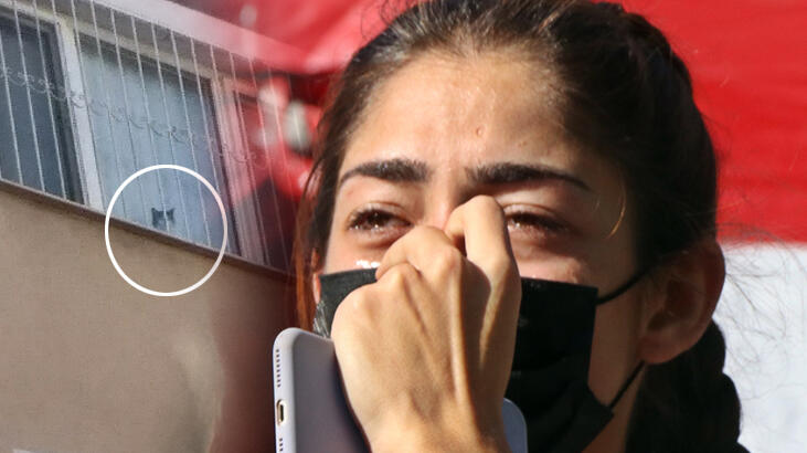 Kontrollü yıkım çalışmalarında bir kedi 8’inci kattan aşağıya atladı