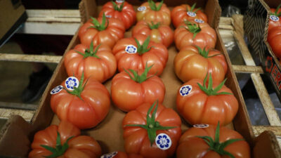 Ekim ayının rekortmeni domates oldu