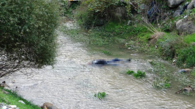 Bursa’da korkutan olay! Hareketsiz yattığını görünce…