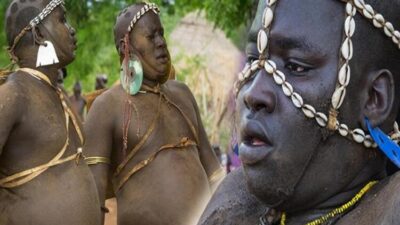 Altı ay kan içiyorlar diğer altı ay ise…