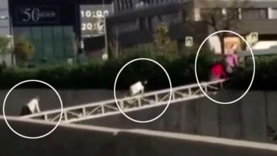 Görüntüler sosyal medyaya düştü! İstanbul’da akılalmaz olay