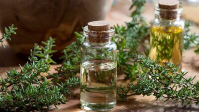 Kekik ve kekik yağı koronavirüse iyi geliyor mu?