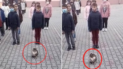 Bursa’da dikkat çeken görüntü! İstiklal Marşı okunurken hiç kıpırdamadı