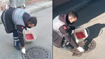 Osmangazi’den haşerelere karşı ilaçlama