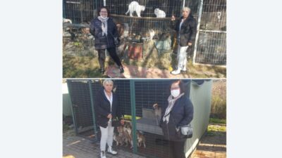 Onların aradığı sevgi… Türkiye’nin en büyük ‘gönüllü’ hayvan barınağı