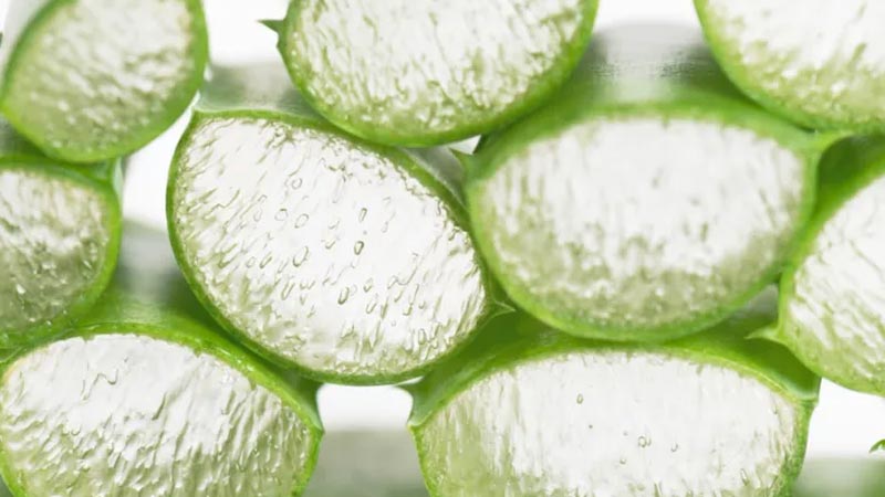 Aman dikkat! Yarardan çok zarar veriyor çiğ aloe vera suyu… Aman dikkat! Yarardan çok zarar veriyor çiğ aloe vera suyu…