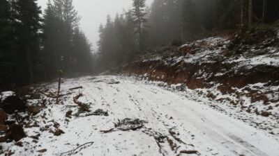 İnegöl’e yılın ilk karı düştü