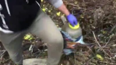 Bursa’da ele geçirildi! Turşu bidonuna saklamışlar